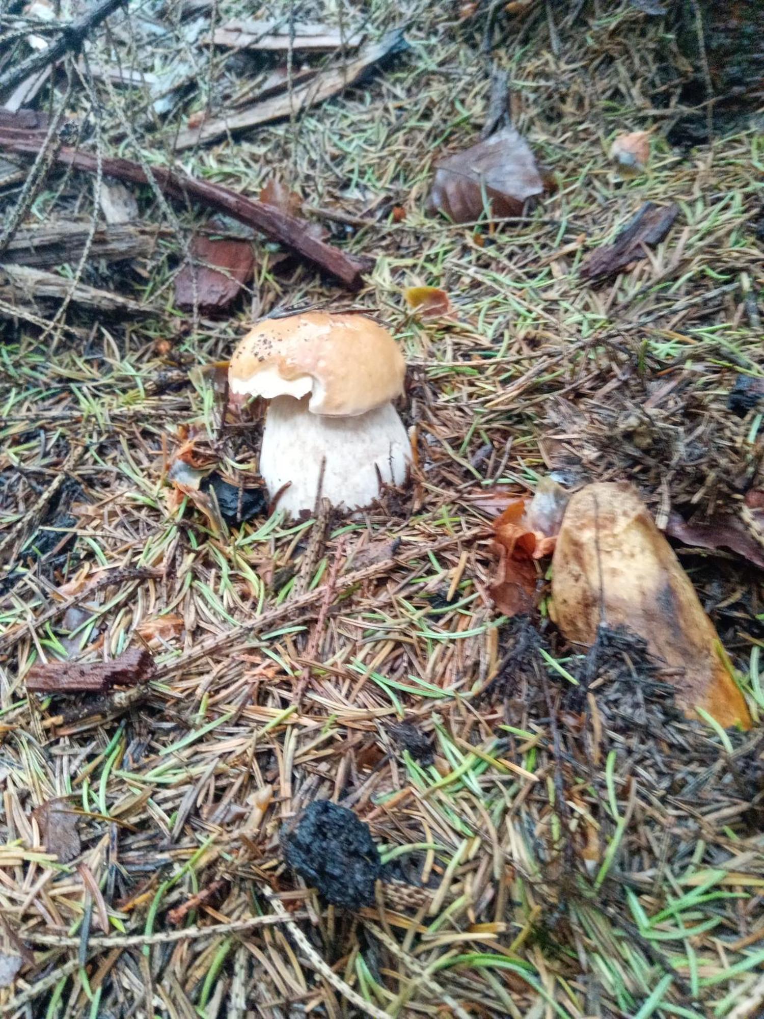 Sadyba U Vani Volovets Exteriör bild